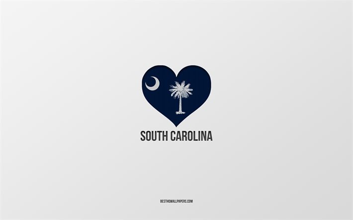 J&#39;aime la Caroline du Sud, les &#201;tats am&#233;ricains, fond gris, l&#39;&#201;tat de la Caroline du Sud, les &#201;tats-Unis, le cœur du drapeau de la Caroline du Sud, les villes pr&#233;f&#233;r&#233;es, l&#39;amour de la Caroline du 