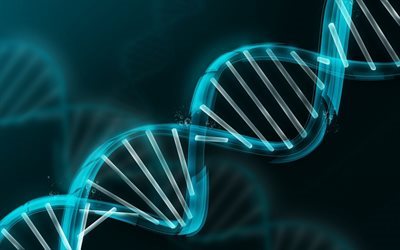 DNA molecule, DNA neon, science, biology, DNA