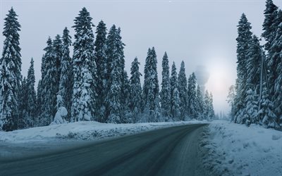 winter landscape, road, forest, snow, fog, tree, winter