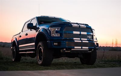 Ford F-150 Shelby, 2017, blue pickup, new cars, SUV tuning, Ford
