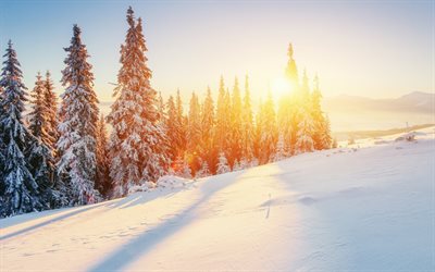 winter landscape, mountains, snow, sunset, sun, snow-capped trees