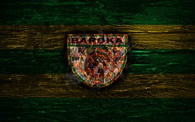 Baroka FC, fire logo, Premier Soccer League, green and yellow lines, South African football club, grunge, football, soccer, Baroka logo, wooden texture, South Africa