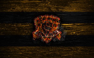 Black Leopards FC, fire logo, Premier Soccer League, yellow and black lines, South African football club, grunge, football, soccer, Black Leopards logo, wooden texture, South Africa