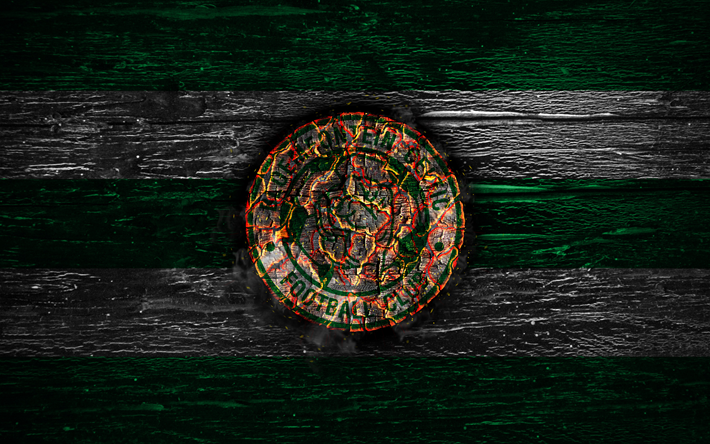 Bloemfontein Celtic FC, fire logo, Premier Soccer League, green and white lines, South African football club, grunge, football, soccer, Bloemfontein Celtic logo, wooden texture, South Africa