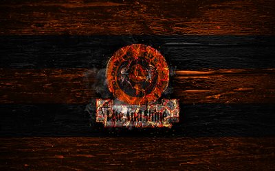 Polokwane FC, fire logo, Premier Soccer League, orange and black lines, South African football club, grunge, football, soccer, Polokwane logo, wooden texture, South Africa