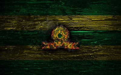 Mamelodi Sundowns FC, fire logo, Premier Soccer League, green and yellow lines, South African football club, grunge, football, soccer, Mamelodi Sundowns logo, wooden texture, South Africa