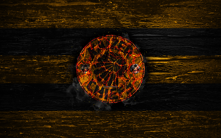 Kaizer Chiefs FC, fire logo, Premier Soccer League, yellow and black lines, South African football club, grunge, football, soccer, Kaizer Chiefs logo, wooden texture, South Africa