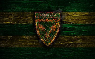 Golden Arrows FC, palo-logo, Premier Soccer League, vihre&#228; ja valkoinen linjat, Etel&#228;-Afrikan football club, grunge, jalkapallo, Golden Arrows-logo, puinen rakenne, Etel&#228;-Afrikka