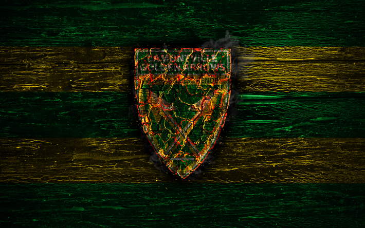 Golden Arrows FC, fire logo, Premier Soccer League, green and white lines, South African football club, grunge, football, soccer, Golden Arrows logo, wooden texture, South Africa