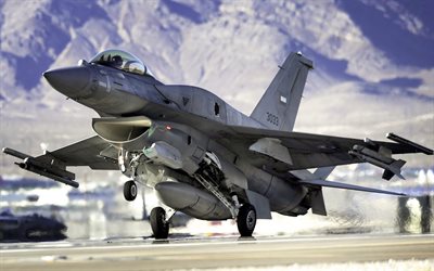 general dynamics f-16 fighting falcon, f-16, die vereinigten arabischen emirate air force, uaeaf, f-16e der vae, k&#228;mpfer