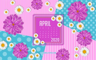 2020 Calendario di aprile, rosa di primavera, sfondo, 2020 primavera calendari, aprile, 2020 calendari, aprile 2020 Calendario
