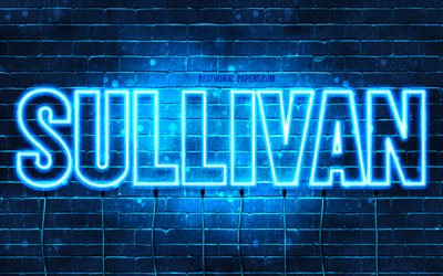 Sullivan, 4k, tapeter med namn, &#246;vergripande text, Sullivan namn, bl&#229;tt neonljus, bild med Sullivan namn