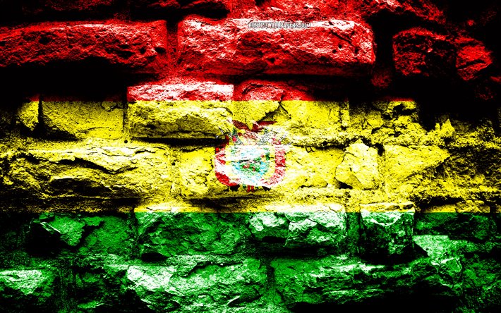 بوليفيا العلم, الجرونج الطوب الملمس, علم بوليفيا, علم على جدار من الطوب, بوليفيا, أوروبا, أعلام بلدان الجنوب