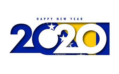 2020 Bosna-Hersek, Bosna-Hersek Bayrak, beyaz arka plan, Mutlu Yeni Yıl, Bosna-Hersek, 3d sanat, 2020 kavramlar, Bosna-Hersek bayrağı, 2020 Yeni Yıl, 2020 Bosna-Hersek bayrağı