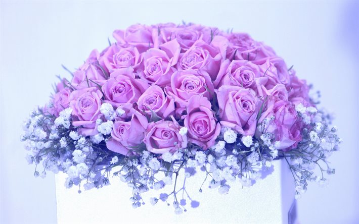 الورود الأرجواني, باقة من الورود, سلة من الورود, ورود جميلة, الزهور الإرجوانية