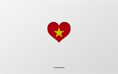 I Love Vietnam, Asia countries, Vietnam, gray background, Vietnam flag heart, favorite country, Love Vietnam