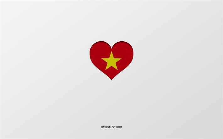 J&#39;aime le Vietnam, les pays d&#39;Asie, le Vietnam, le fond gris, le coeur du drapeau du Vietnam, le pays pr&#233;f&#233;r&#233;, l&#39;amour du Vietnam