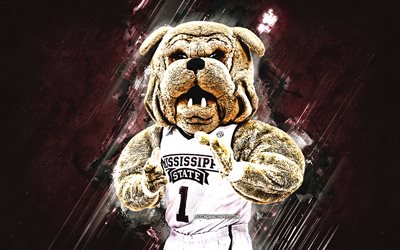 Bully, Mississippi State University maskot, burgundy stone background, Bully maskot, Mississippi State University, English Bulldog
