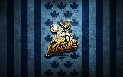 Drapeau du Manitoba Moose, AHL, fond m&#233;tal bleu, &#233;quipe canadienne de hockey, logo Manitoba Moose, Canada, hockey, logo dor&#233;, Manitoba Moose