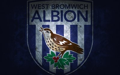 West Bromwich Albion FC, club de football anglais, fond de pierre bleue, logo de West Bromwich Albion FC, art grunge, Premier League, football, Angleterre, embl&#232;me de West Bromwich Albion FC