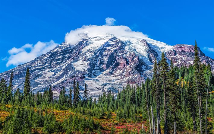 Mount Rainier, paesaggio di montagna, primavera, Lewis County, Washington, il Parco Nazionale del Monte Rainier, Stati Uniti d&#39;America