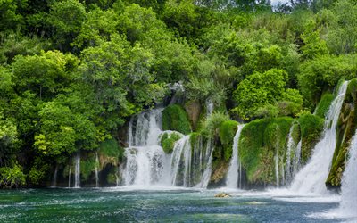 美しい滝, 湖, 水を節約する, 小滝, 緑の木々, 環境, エコロジー