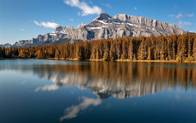 lago di montagna, foresta, autunno, alberi gialli, paesaggio di montagna, bellissimo lago, paesaggio autunnale, Alberta, Canada