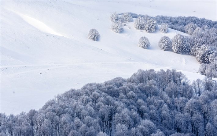 snowy slope, winter, snow, forest, snowy trees, mountains, winter landscape