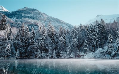 winter, frost, morning, mountain landscape, snow, winter landscape, Alps, Switzerland