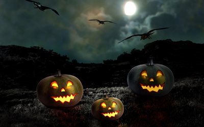Halloween, pumpkins, bats, darkness