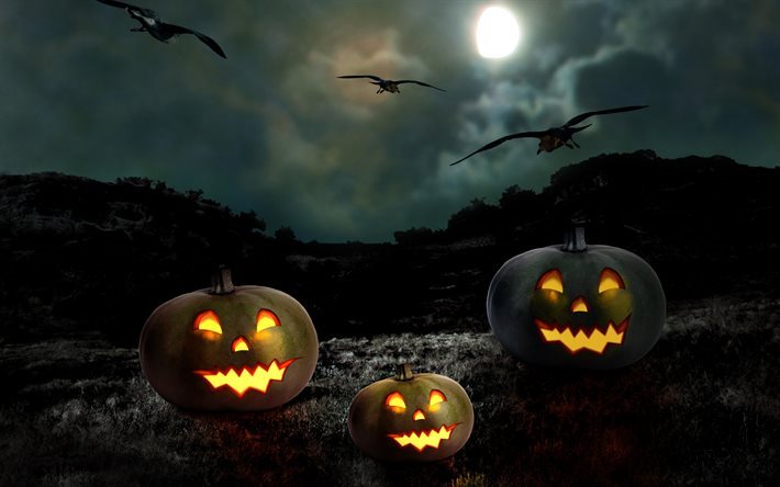 Halloween, zucche, pipistrelli, il buio
