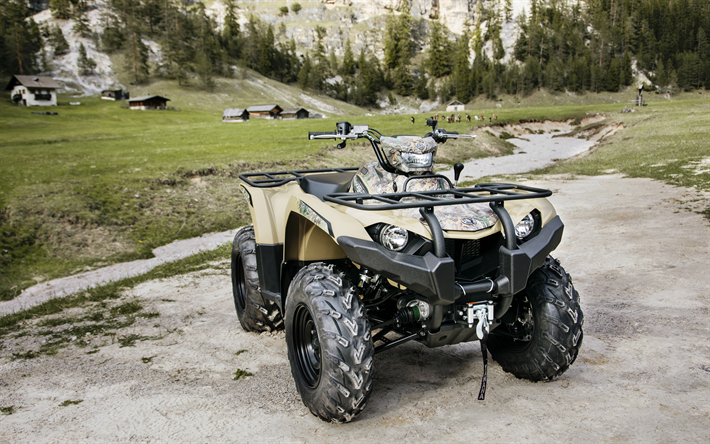 Yamaha Kodiak 450, 4k, 2018 polkupy&#246;r&#228;&#228;, 4x4, ATV, Yamaha