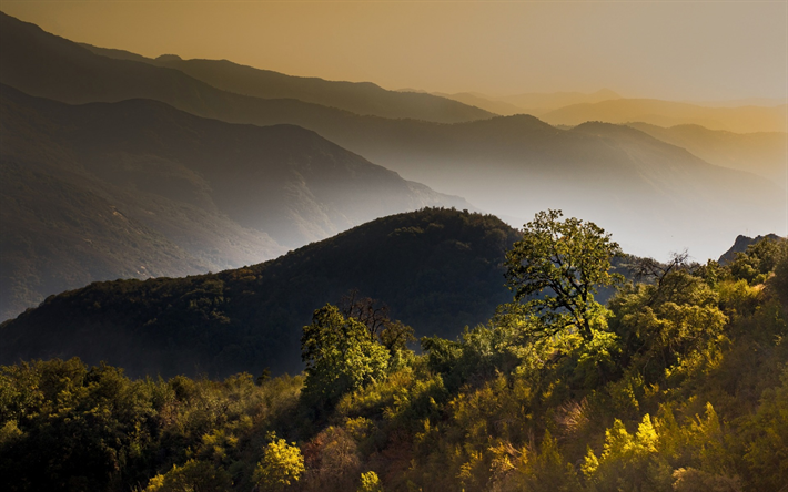 paisagem de montanha, floresta, nevoeiro, manh&#227;, nascer do sol, montanhas