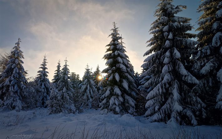 vinter, sn&#246;, berg, vinterlandskap, sunset, Tyskland, gl&#246;mma