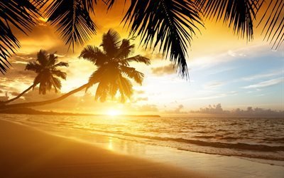 tropiska &#246;ar, sunset, ocean, palms, v&#229;gor, beach
