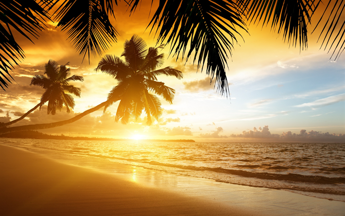 tropical islands, sunset, ocean, palms, waves, beach