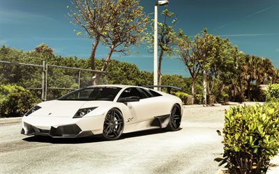 Lamborghini Murcielago, Italian sports car, white, tuning Murcielago, Italian supercars, Lamborghini