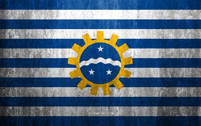 Bandiera di Sao Jose dos Campos, 4k, pietra, sfondo, citt&#224; Brasiliana, grunge, bandiera, Sao Jose dos Campos, Brasile, arte, texture, le bandiere delle citt&#224; brasiliane