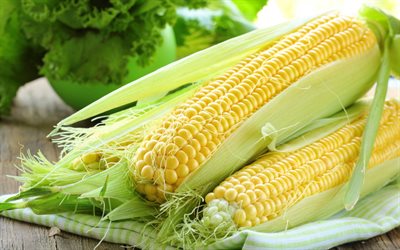 majs, grönsaker, majsbakgrund, hälsosam mat, bakgrund med majs