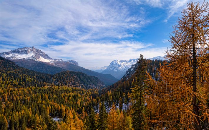 Dolomites, 4k, automne, for&#234;t, Tyrol du Sud, Alpes, Italie, montagnes, belle nature, Europe