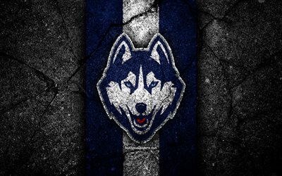 UConn Huskies, 4k, american football team, NCAA, blue white stone, USA, asphalt texture, american football, UConn Huskies logo