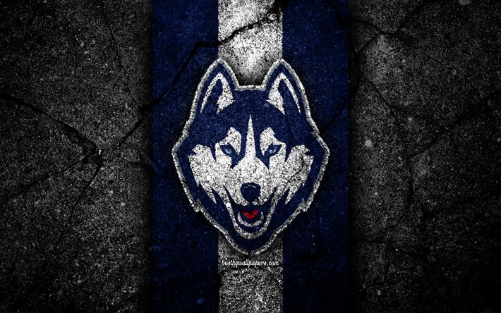 UConn Huskies, 4k, &#233;quipe de football am&#233;ricain, NCAA, pierre blanche bleue, USA, texture asphalte, football am&#233;ricain, logo UConn Huskies