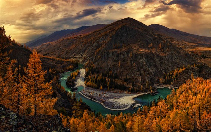 Altai, 4k, autunno, foresta, fiume, montagne, Russia, Asia, bellissima natura