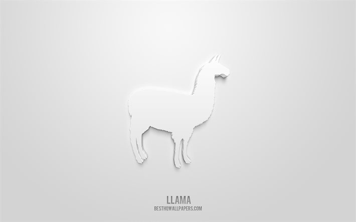 Ic&#244;ne 3d de lama, fond blanc, symboles 3d, lama, art 3d cr&#233;atif, ic&#244;nes 3d, signe de lama, ic&#244;nes 3d animaux
