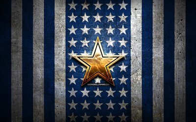Dallas Cowboys bayrak, NFL, mavi beyaz metal arka plan, Amerikan futbolu takımı, Dallas Cowboys logosu, ABD, amerikan futbolu, altın logo, Dallas Cowboys