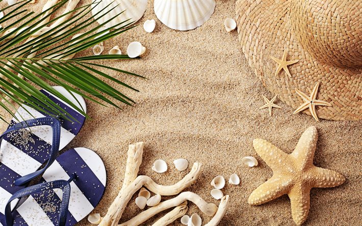 concepts de plage, sable, accessoires de plage, &#233;t&#233;, voyage, sable marin, &#233;toiles de mer, coquillages