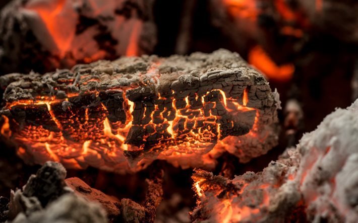 fire, bonfire, charcoal, coal smoldering
