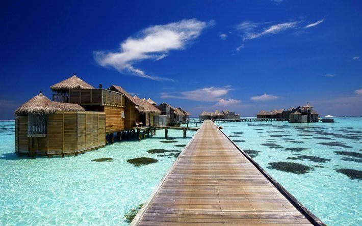 Maldives, isola tropicale, a Lankanfushi Island, bungalow, mare, estate, vacanza, Gili Lankanfushi