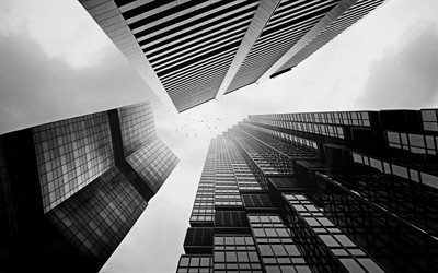 arranha-céus, preto e branco, monocromático, edifícios modernos, centros de negócios