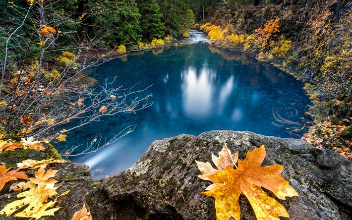 blue lake, mountain river, autumn, forest, beautiful lake